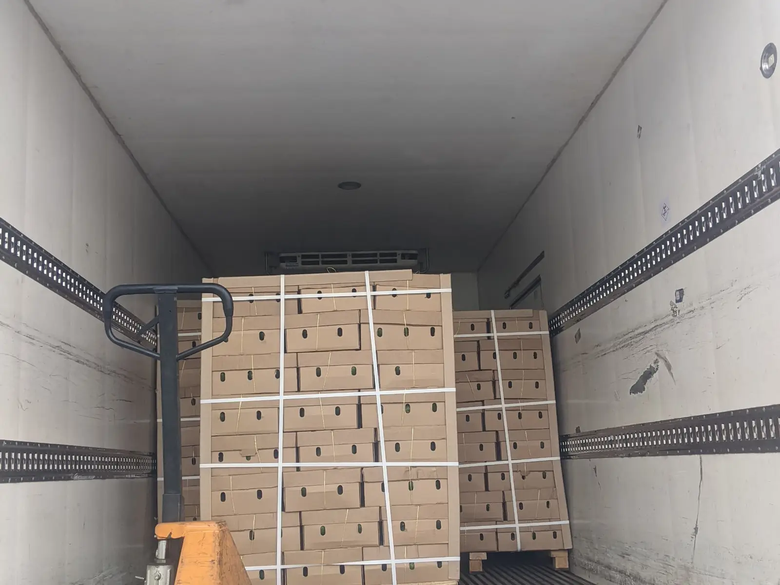Export pallets loaded into a refrigerated truck
