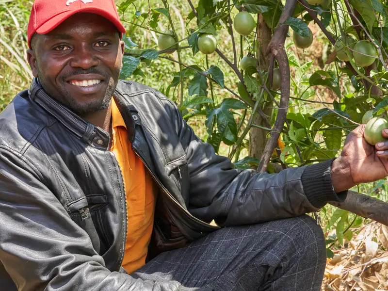 Smiling partner farmer harvesting passion fruit