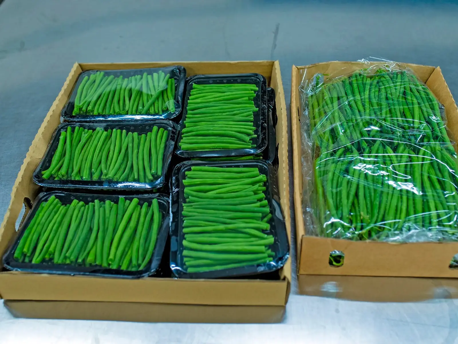 Fresh hand-picked French beans