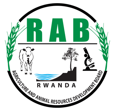 Rwanda Agriculture and Animal Resources Development Board (RAB) / SAIP