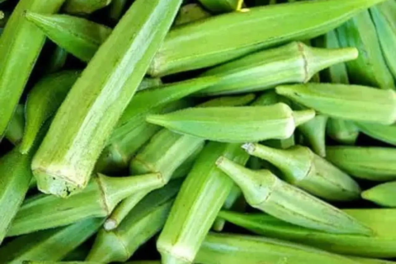 Okra (Gombo)